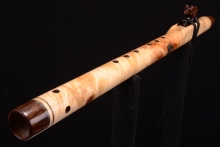 Curly Poplar Native American Flute, Minor, Mid F#-4, #G37F
